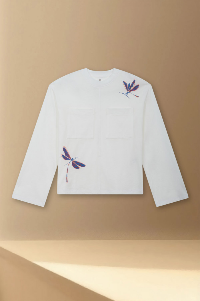 Dragonflies