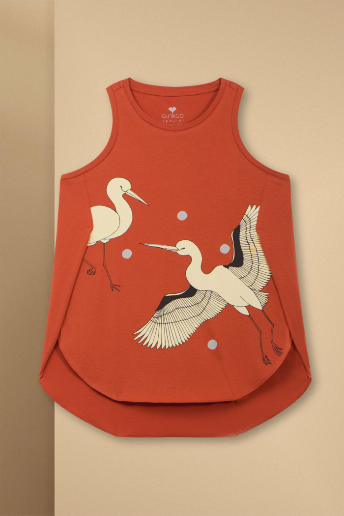 Flying Stork