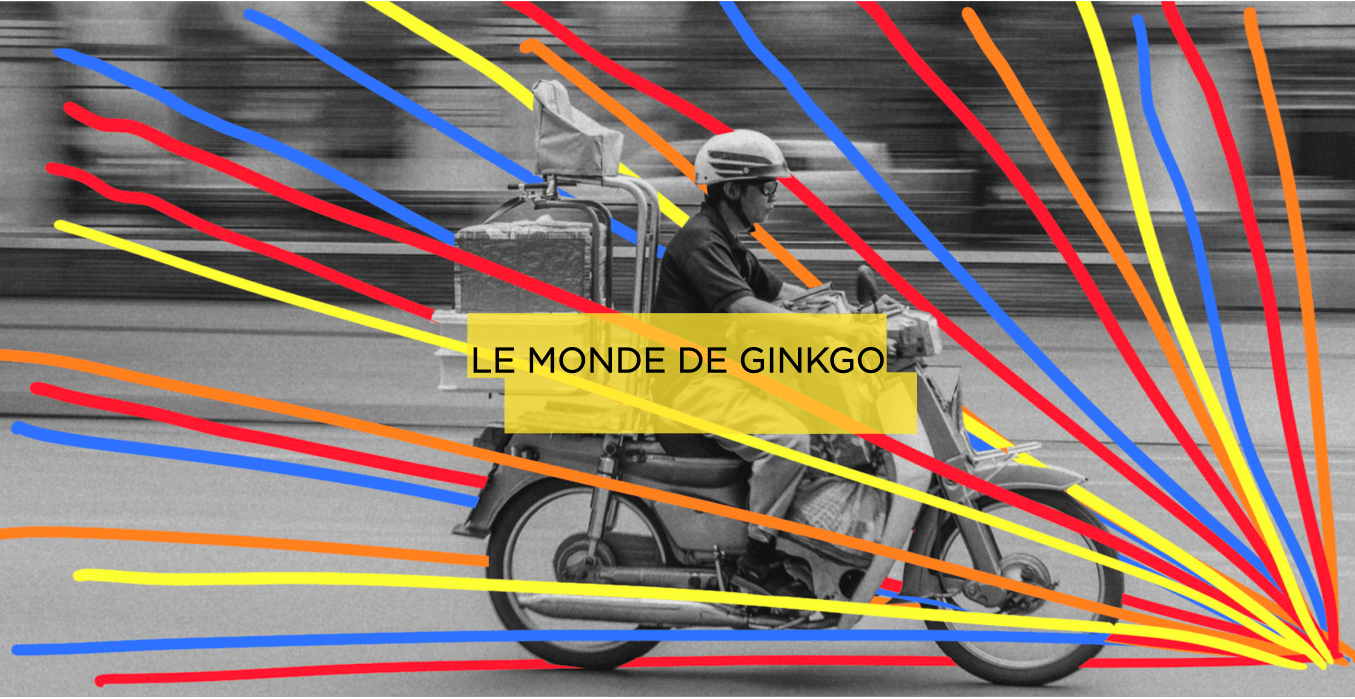 le-monde-de-gingko